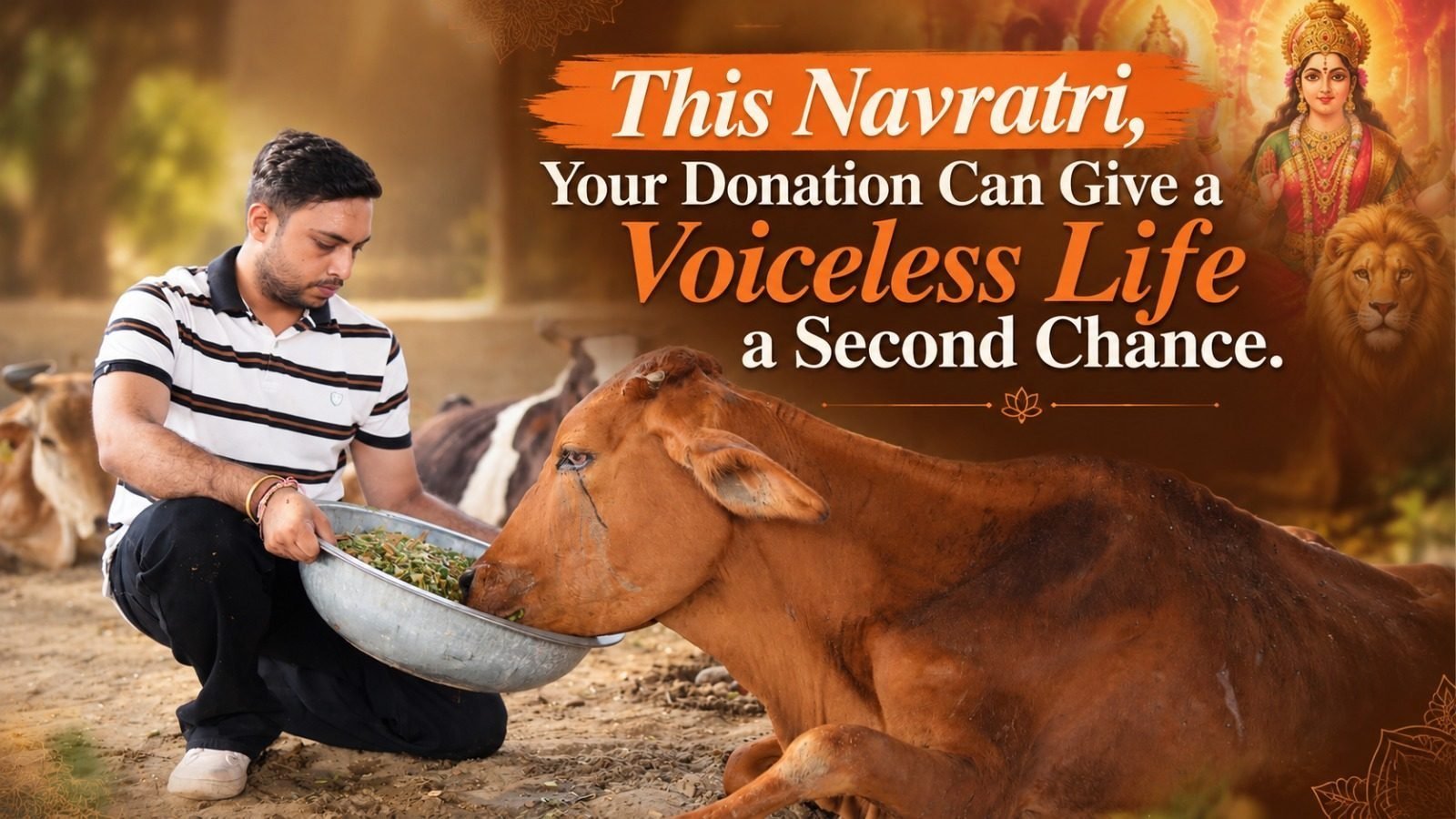 This Navratri, Your Donation Can Give a Voiceless Life a Second Chance.