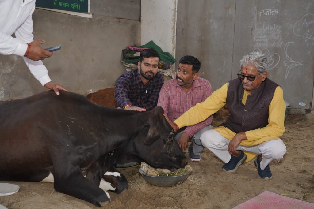 Gau Seva - a