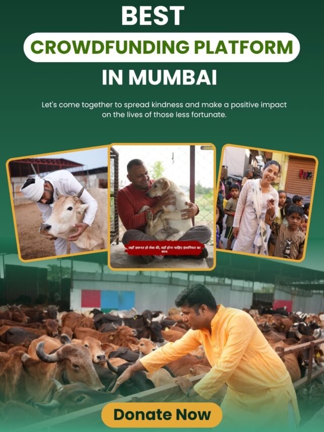 Best Crowdfunding Platform in Mumbai