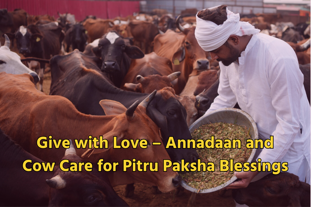 Annadaan and Cow Care for Pitru Paksha Blessings