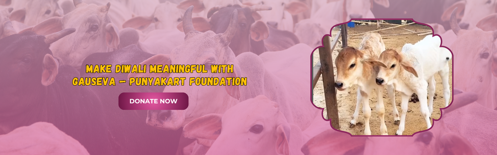 Make Diwali Meaningful With Gauseva — Punyakart Foundation