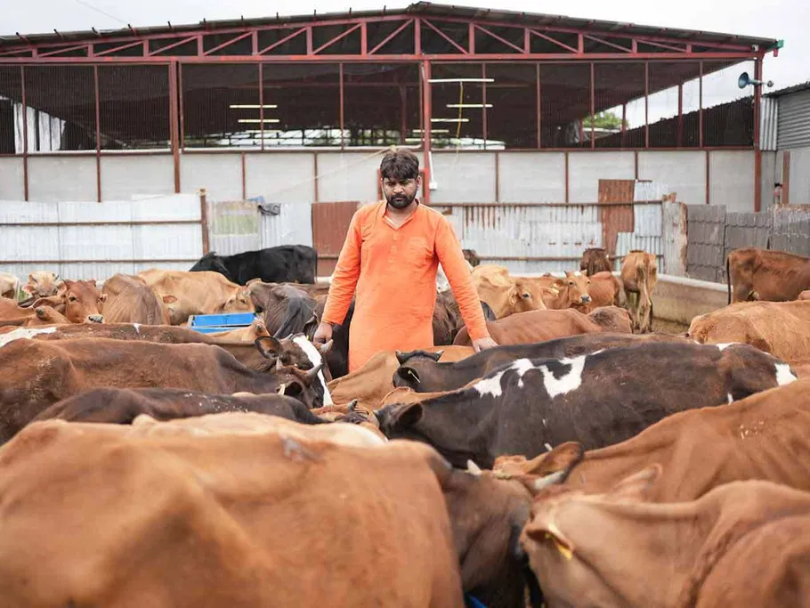 Cow Donation Support