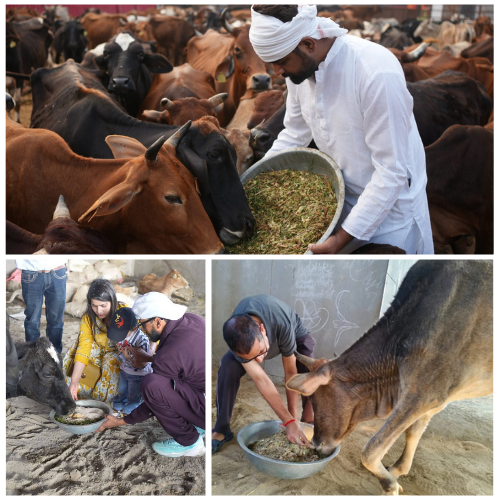 Bhusa Bhandaran Seva