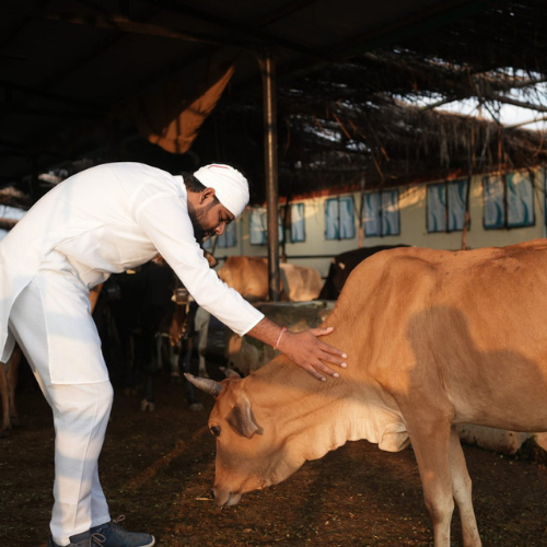 Donate Dakshina to Brahmin