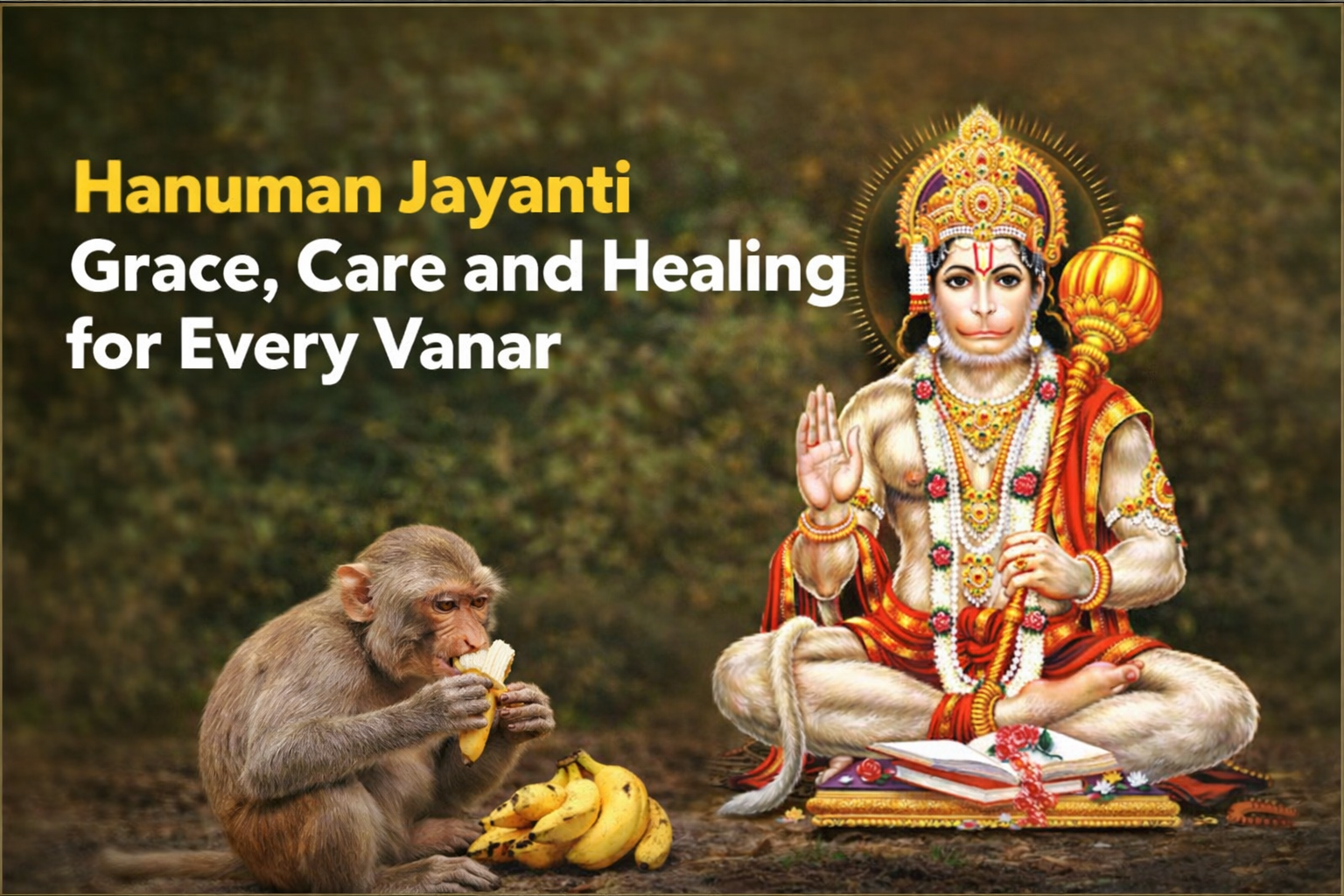 Hanuman Jayanti Grace, Care and Healing for Every Vanar