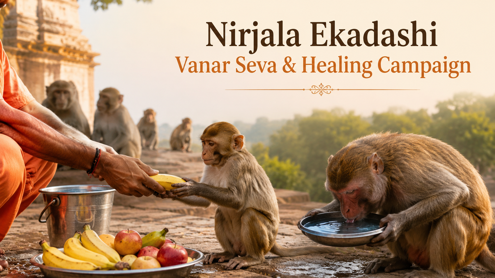 Nirjala Ekadashi Vanar Seva and Healing