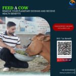 Feed A Cow