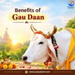 Benefits of Gau Daan